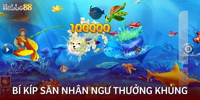 Bí kíp săn nhân ngư nhận thưởng khủng từ cao thủ