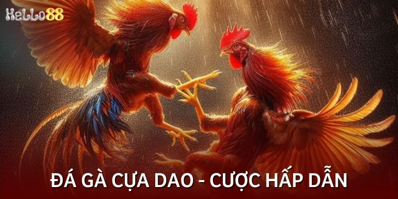 Đá gà cựa dao - Loại hình cá cược hấp dẫn nhất 2025