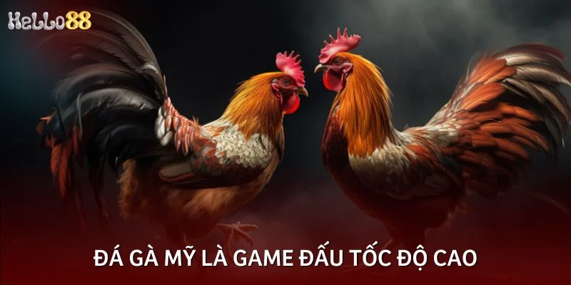 Đá gà Mỹ là game đấu tốc độ cao