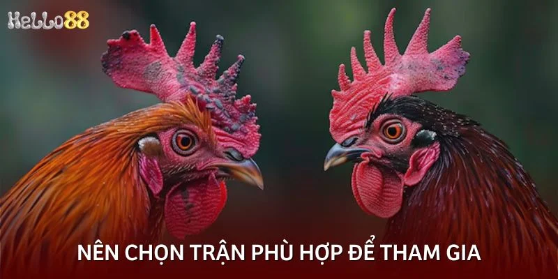 Nên chọn trận phù hợp để tham gia