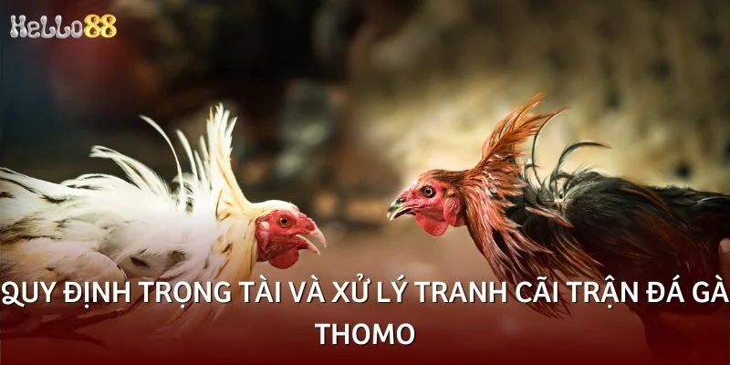 Quy định trọng tài và xử lý tranh cãi trận đá gà thomo