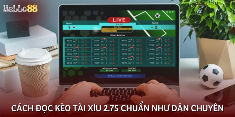 Cách đọc kèo tài xỉu 2.75 chuẩn như dân chuyên