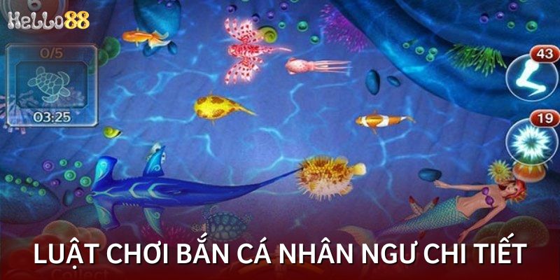 Luật chơi bắn cá nhân ngư chi tiết người mới cần nắm