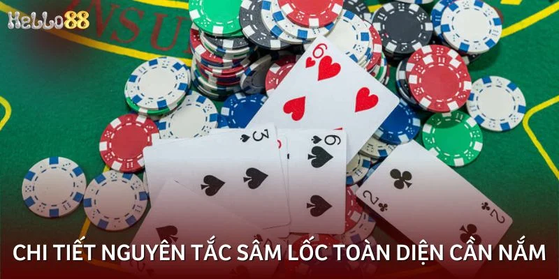 Chi tiết nguyên tắc sâm lốc toàn diện cần nắm